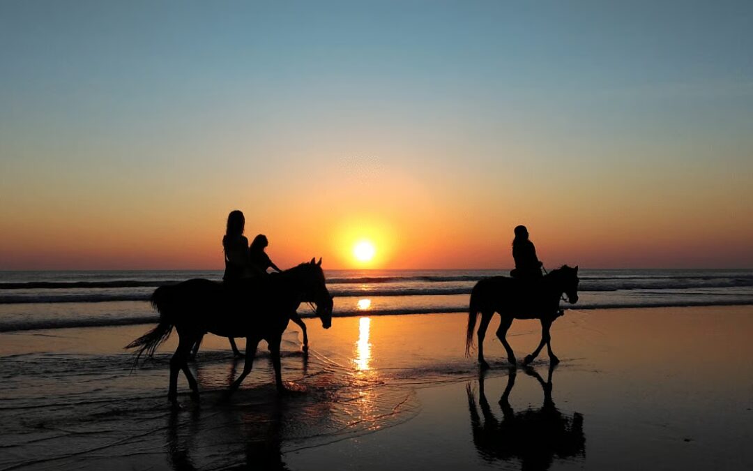 A Guide to Seabrook Island Amenities